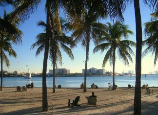 Miami quando andare: la lunga estate statunitense Miami quando andare